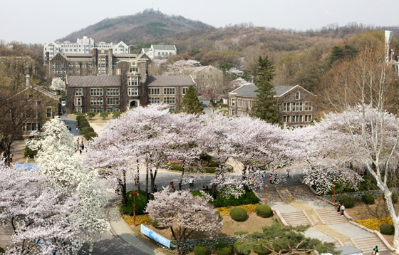 Khuôn viên đại học Yonsei, du học Hàn Quốc