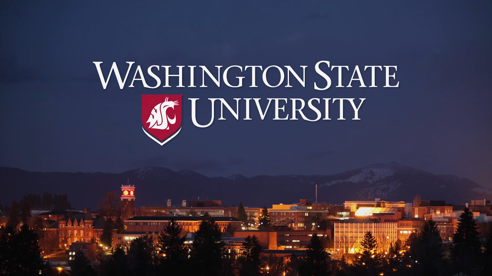 Du học Mỹ tự túc tại Washington State University – WSU