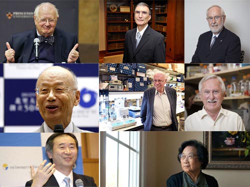 Trường đại học của những chủ nhân giải Nobel năm 2015